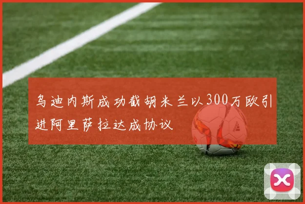 乌迪内斯成功截胡米兰以300万欧引进阿里萨拉达成协议
