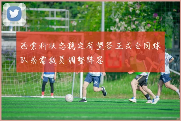 西索科状态稳定有望签正式合同球队或需裁员调整阵容