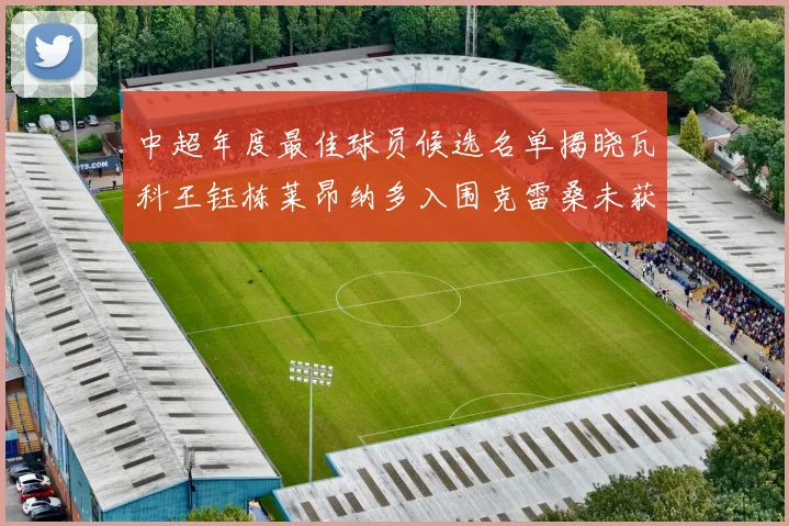中超年度最佳球员候选名单揭晓瓦科王钰栋莱昂纳多入围克雷桑未获提名
